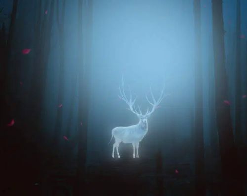 آموزش طراحی گوزن درخشان در فتوشاپ